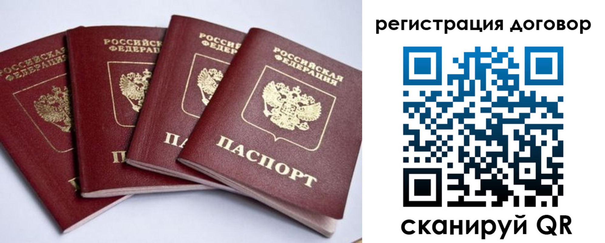 прописка поиск в Солнечногорске