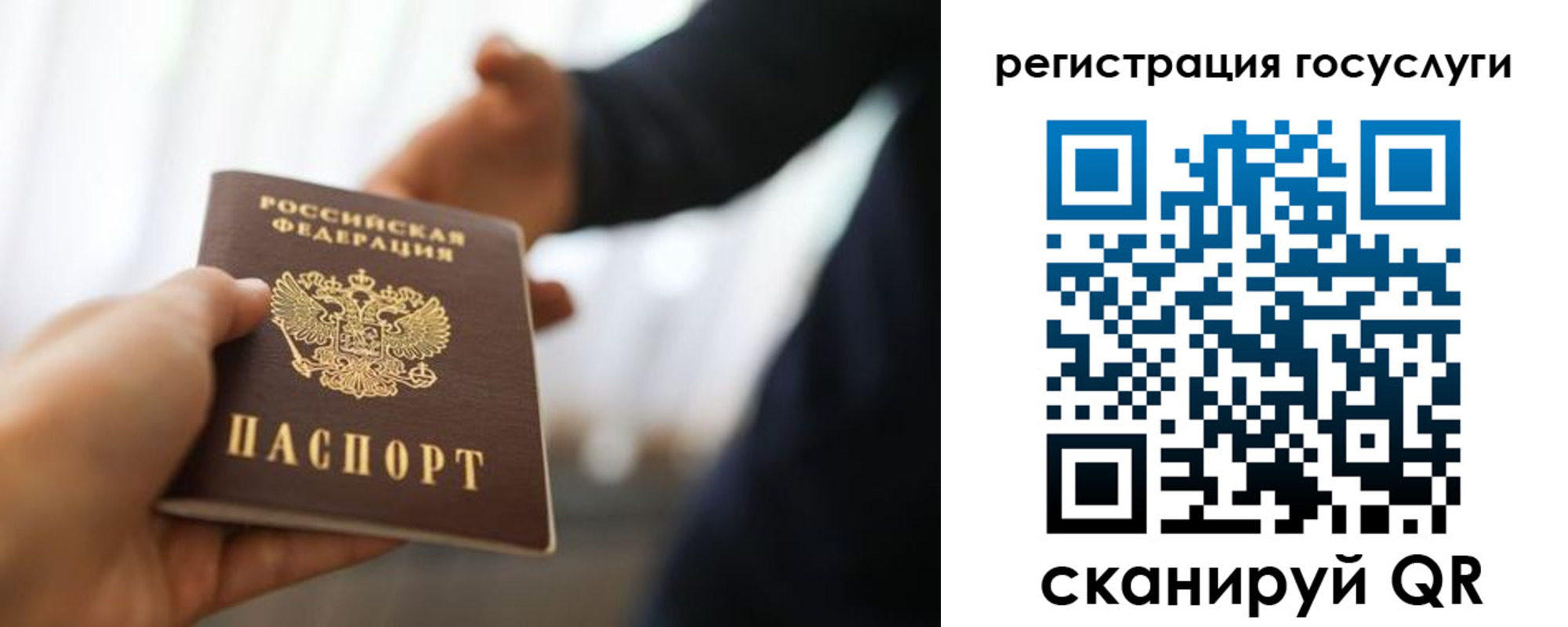 прописка в Солнечногорске